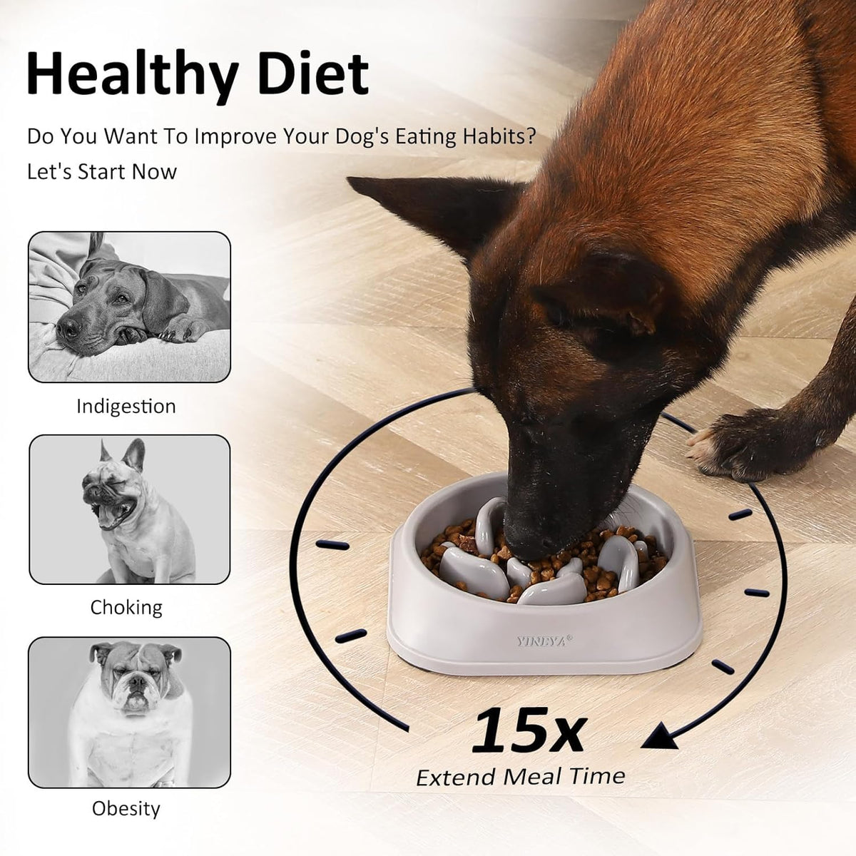 2-Pack Slow Feeder Dog Bowls - view 3