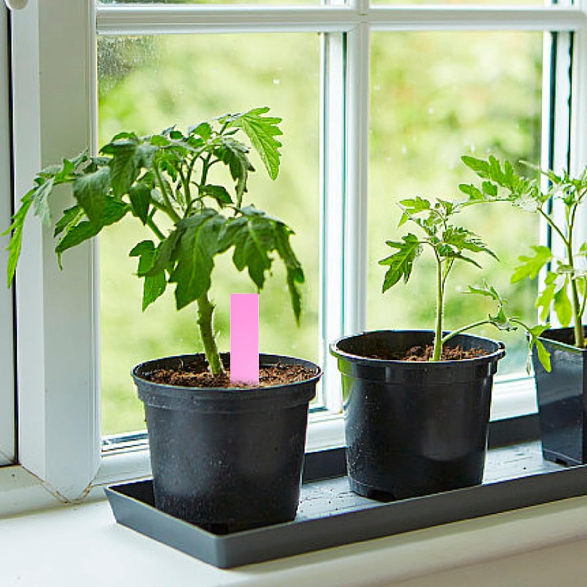 300-Piece Waterproof Plant Labels - view 4
