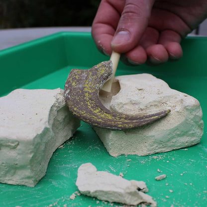 Velociraptor Claw Dinosaur Dig Kit - view 4
