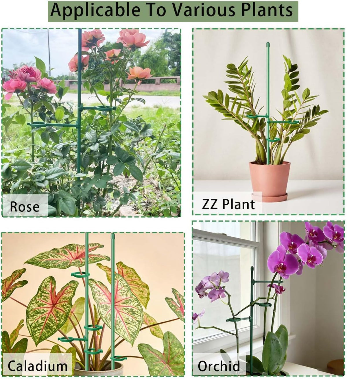 Adjustable Plant Support Stakes – 20 Set - view 6
