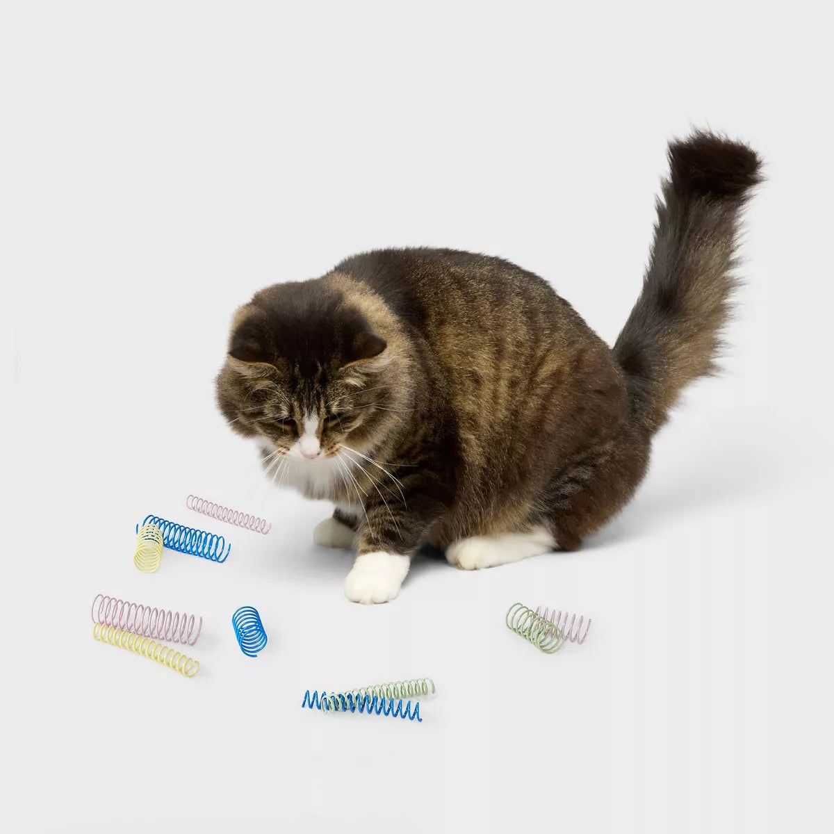 Interactive Cat Spring Toys – 10 Pack - view 2