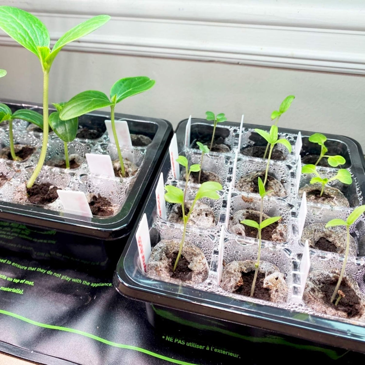 5-Pack Seed Starter Tray Kit with Humidity Domes - view 7