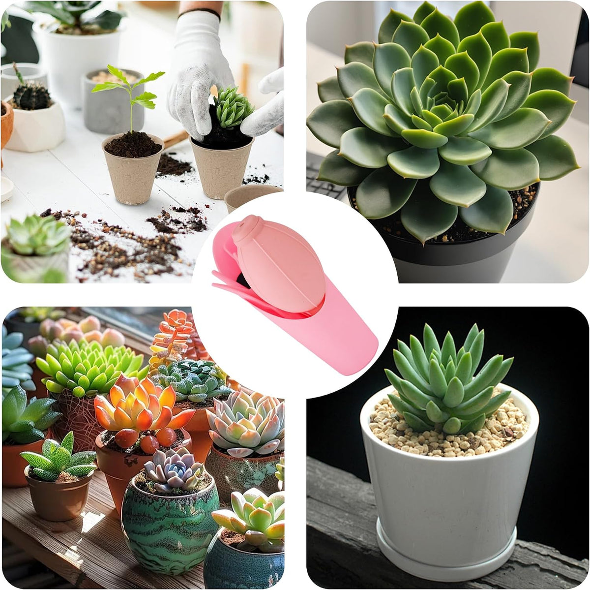 6-Piece Mini Succulent Gardening Tool Set - view 7