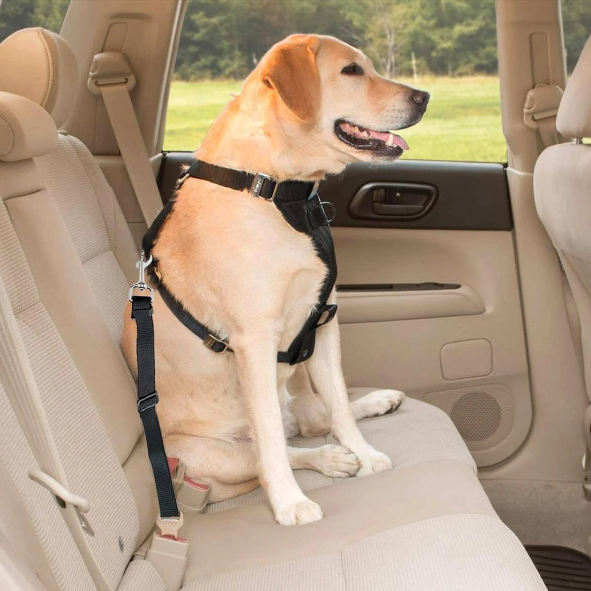 2-Pack Adjustable Dog Car Seatbelt Tethers - view 6