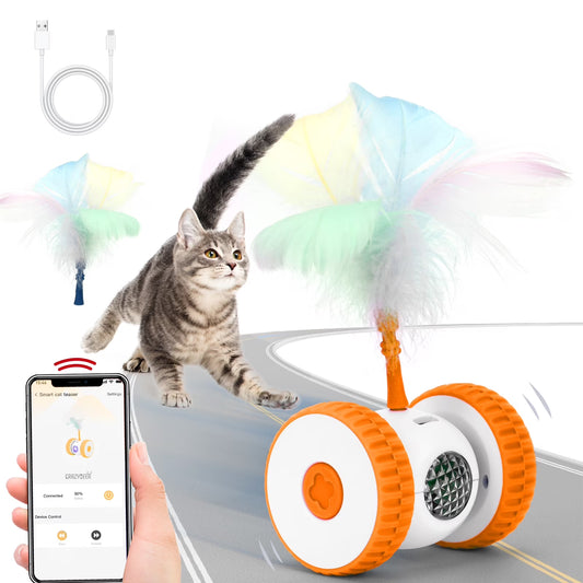 Rechargeable Remote-Control Moving Cat Toy