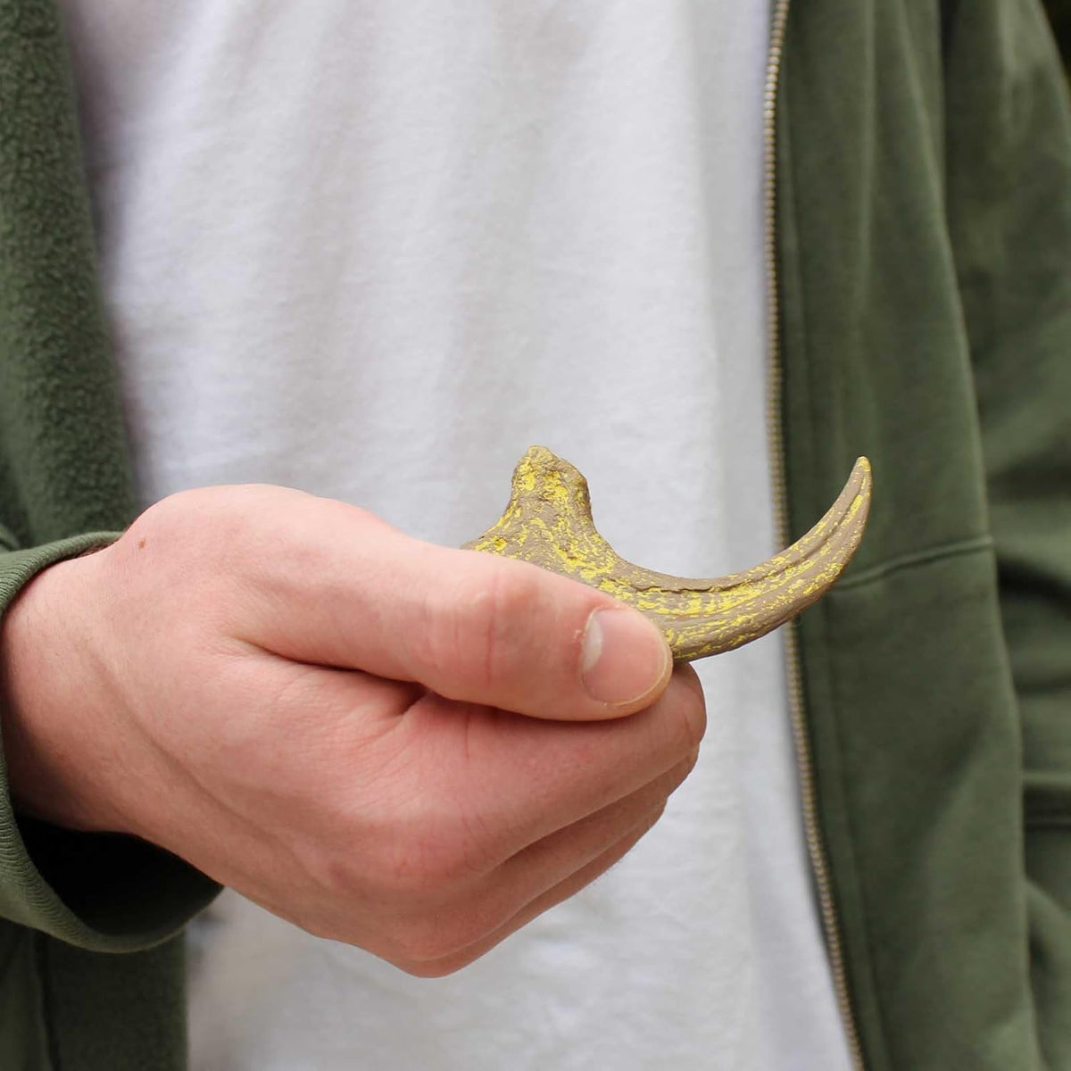 Velociraptor Claw Dinosaur Dig Kit - view 5
